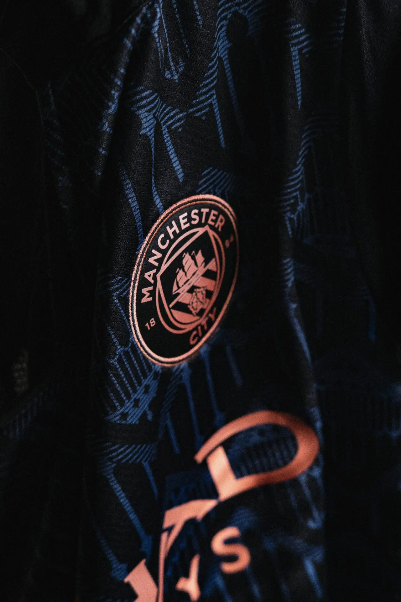 a close up of a man's jacket with a badge on it